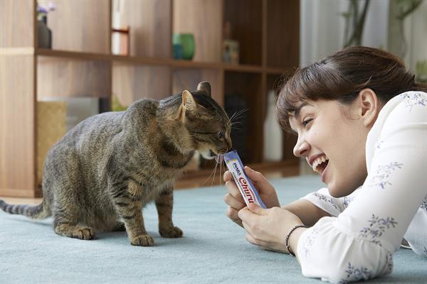 Ciao Churu Cream Ton Balıklı Kedi Ödül Kreması 4 x 14 Gr - Görsel 2