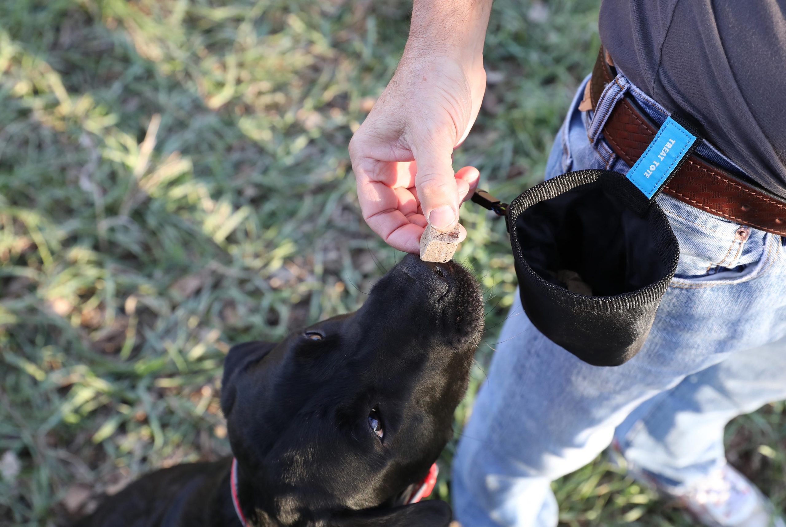 Chuckit! Köpek Ödül Taşıma Çantası - Görsel 2