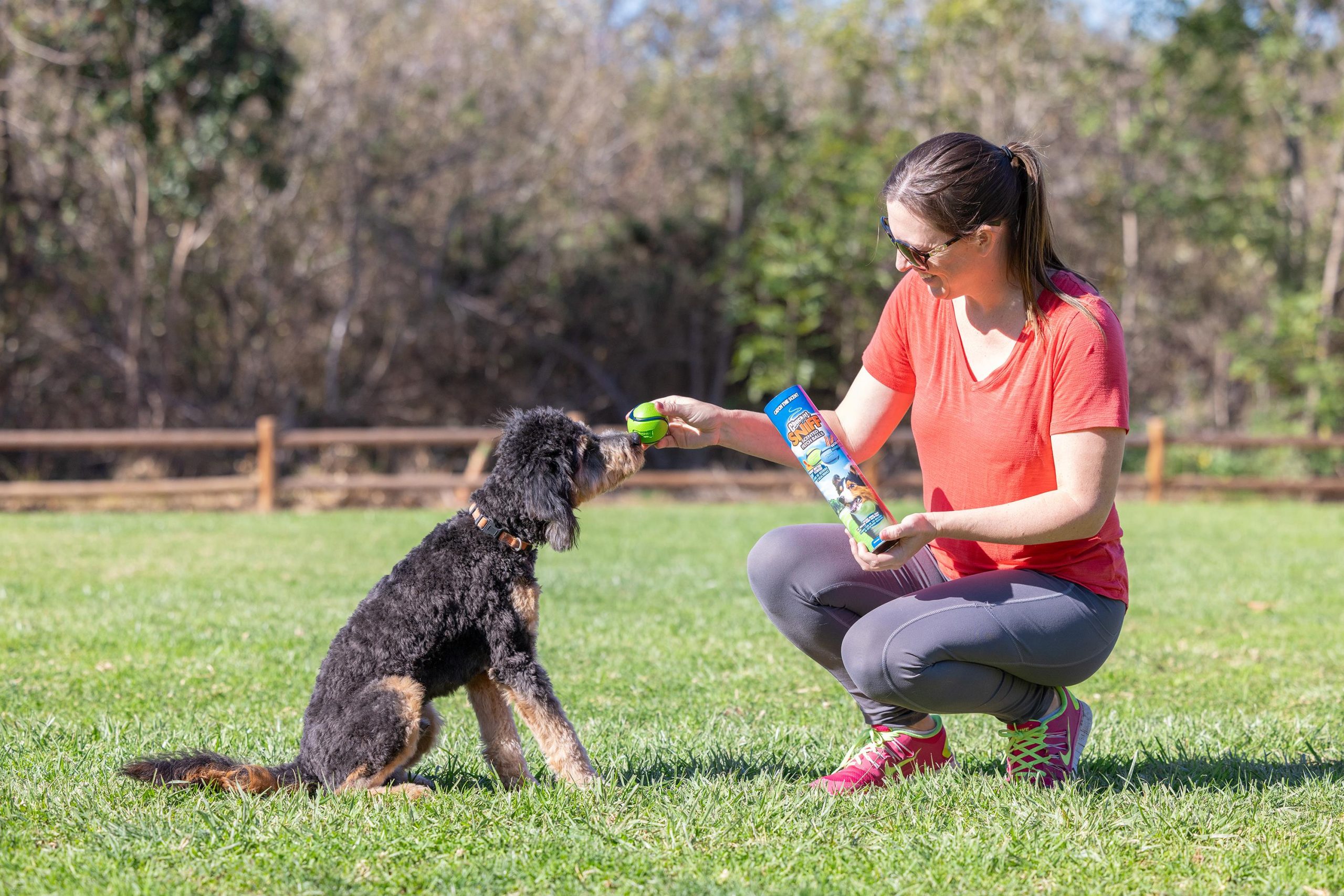 Chuckit! Sniff Fetch Kokulu Köpek Oyun Topu 4'lü Kutulu Set (Orta Boy) - Görsel 5