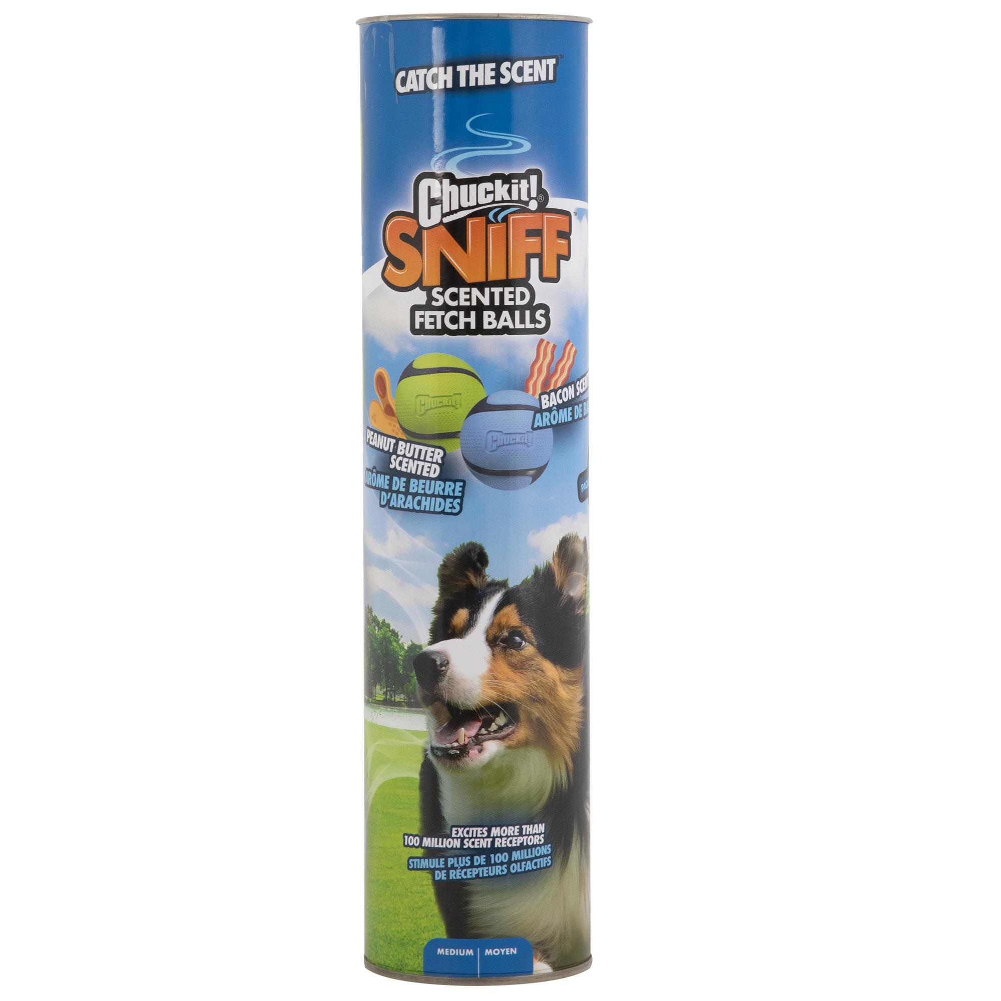 Chuckit! Sniff Fetch Kokulu Köpek Oyun Topu 4'lü Kutulu Set (Orta Boy) - Görsel 2