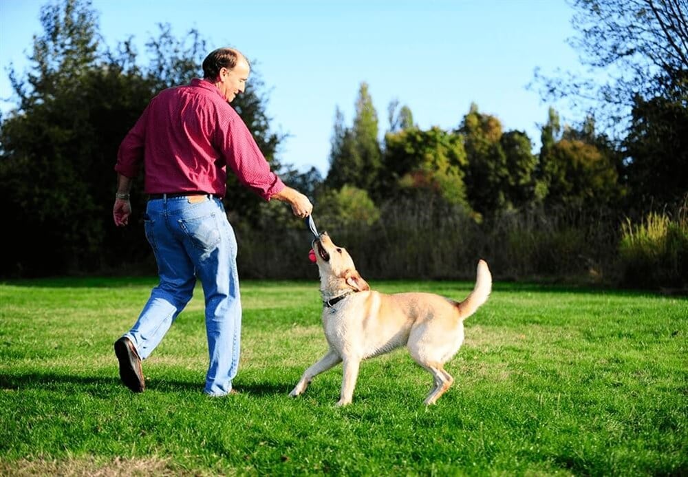 Chuckit! Ultra Tug Köpek Çekiştirme Topu (Orta Boy) - Görsel 4