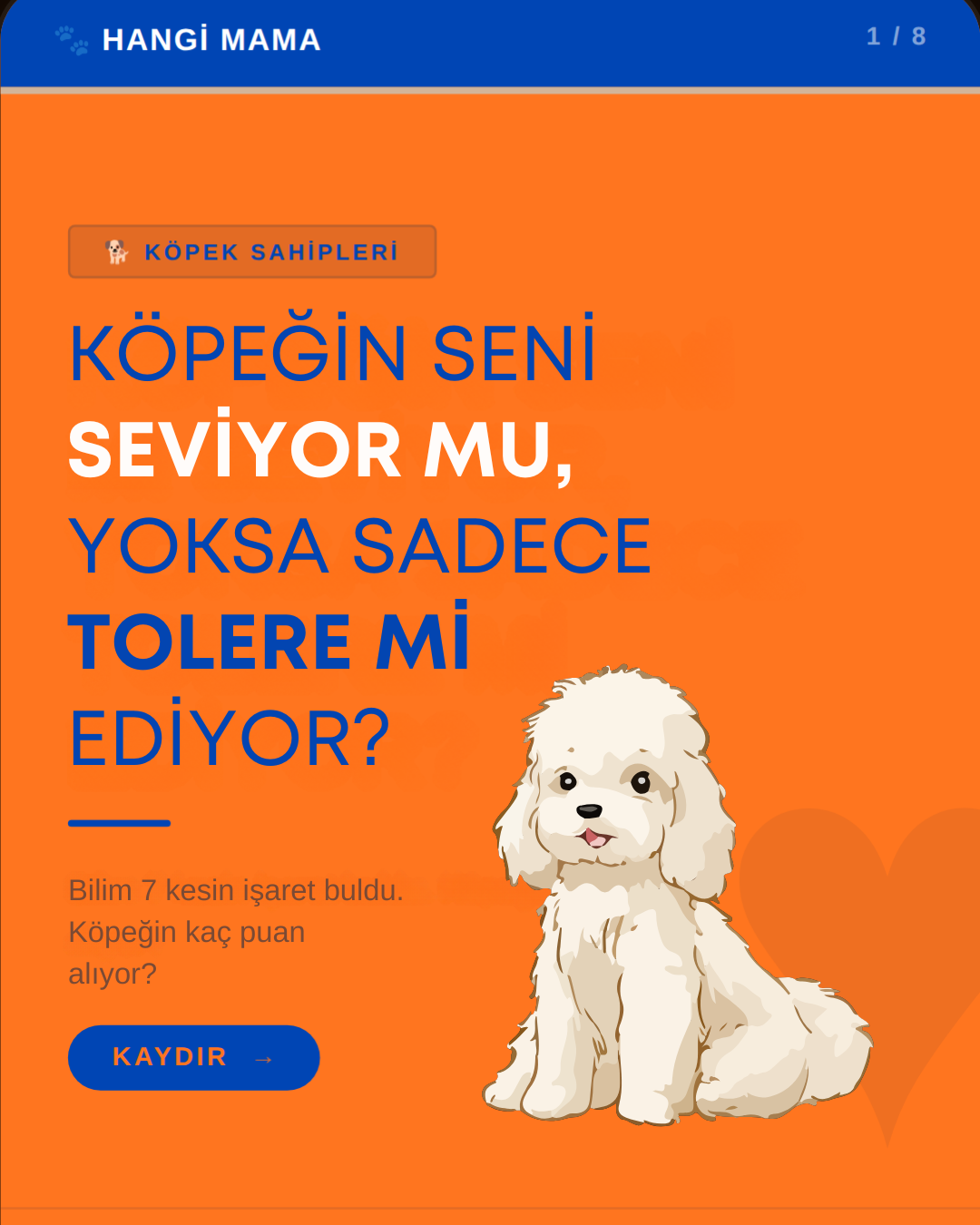 köpeğin seni seviyor mu?