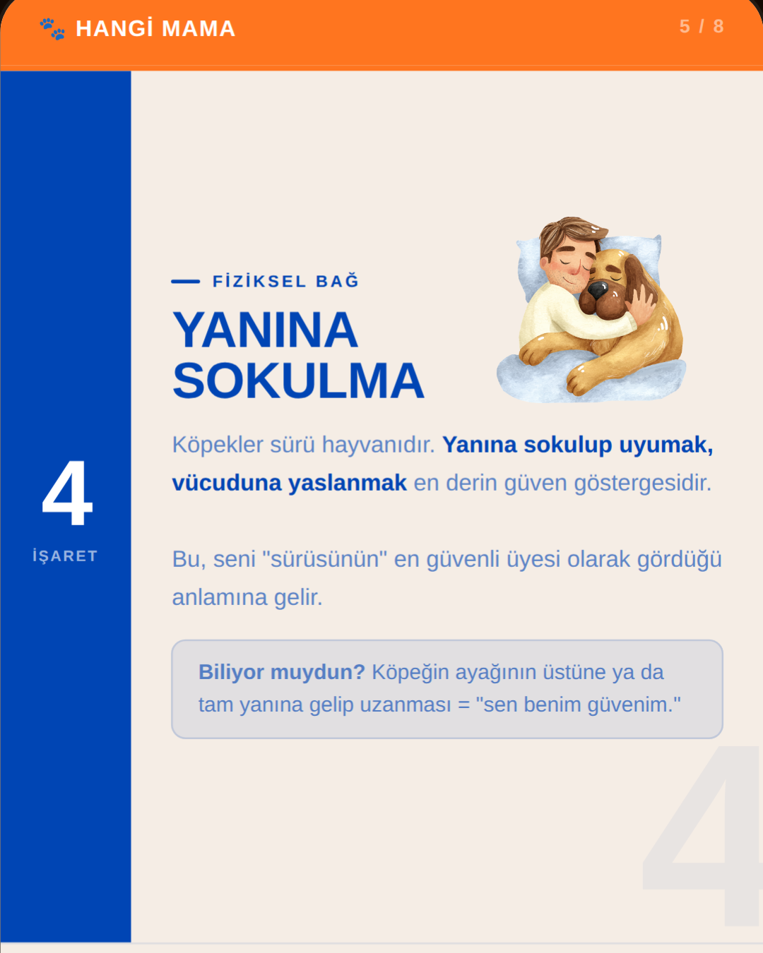 köpeğin yanına sokuluyor